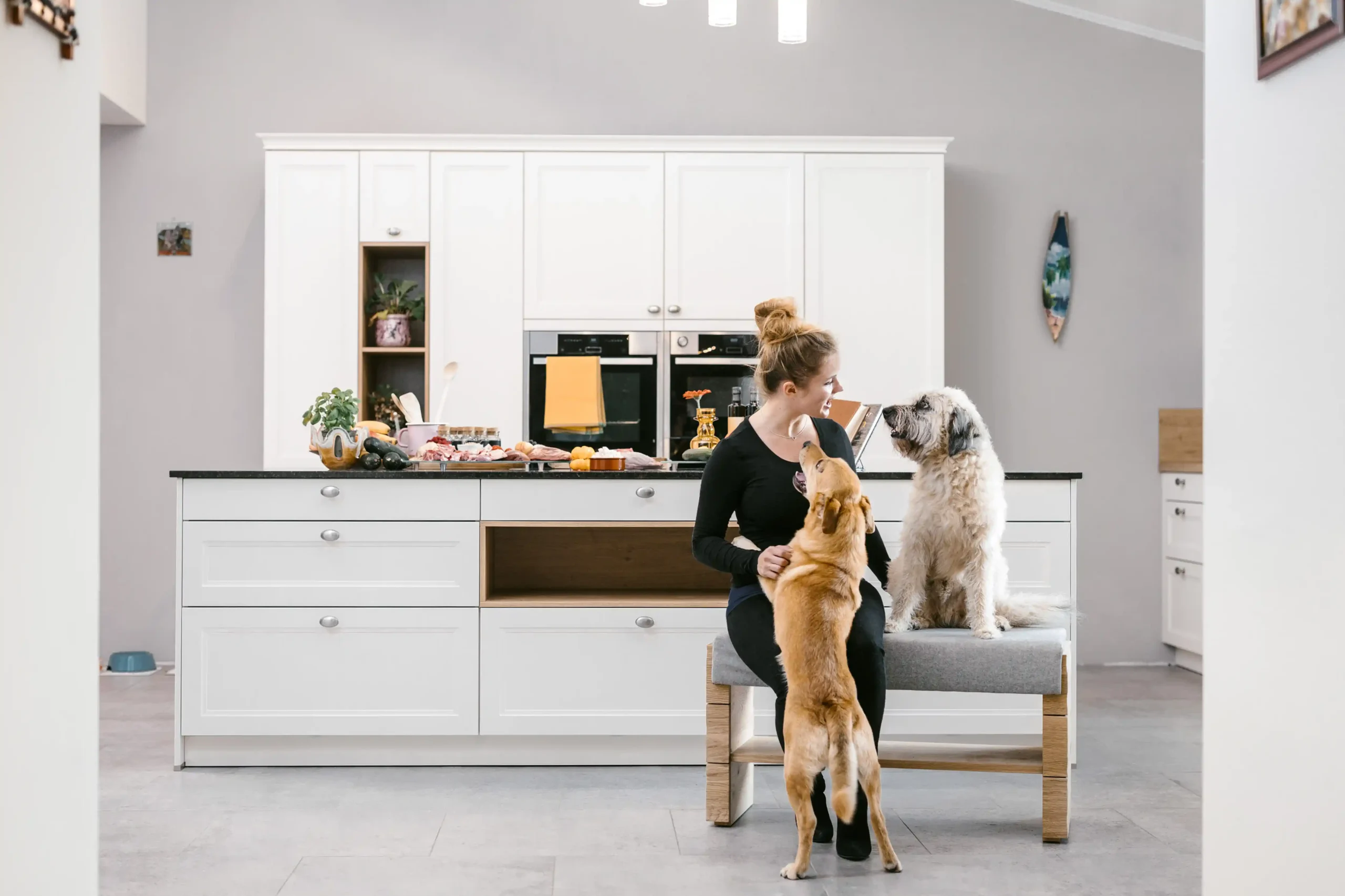 Dogtisch Acadamy (c) Nadine Studeny