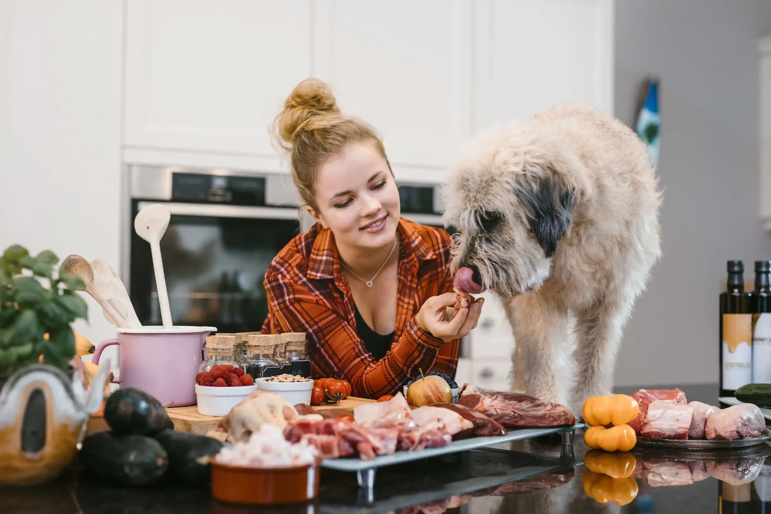 Dogtish Acadamy (c) Nadine Studeny1