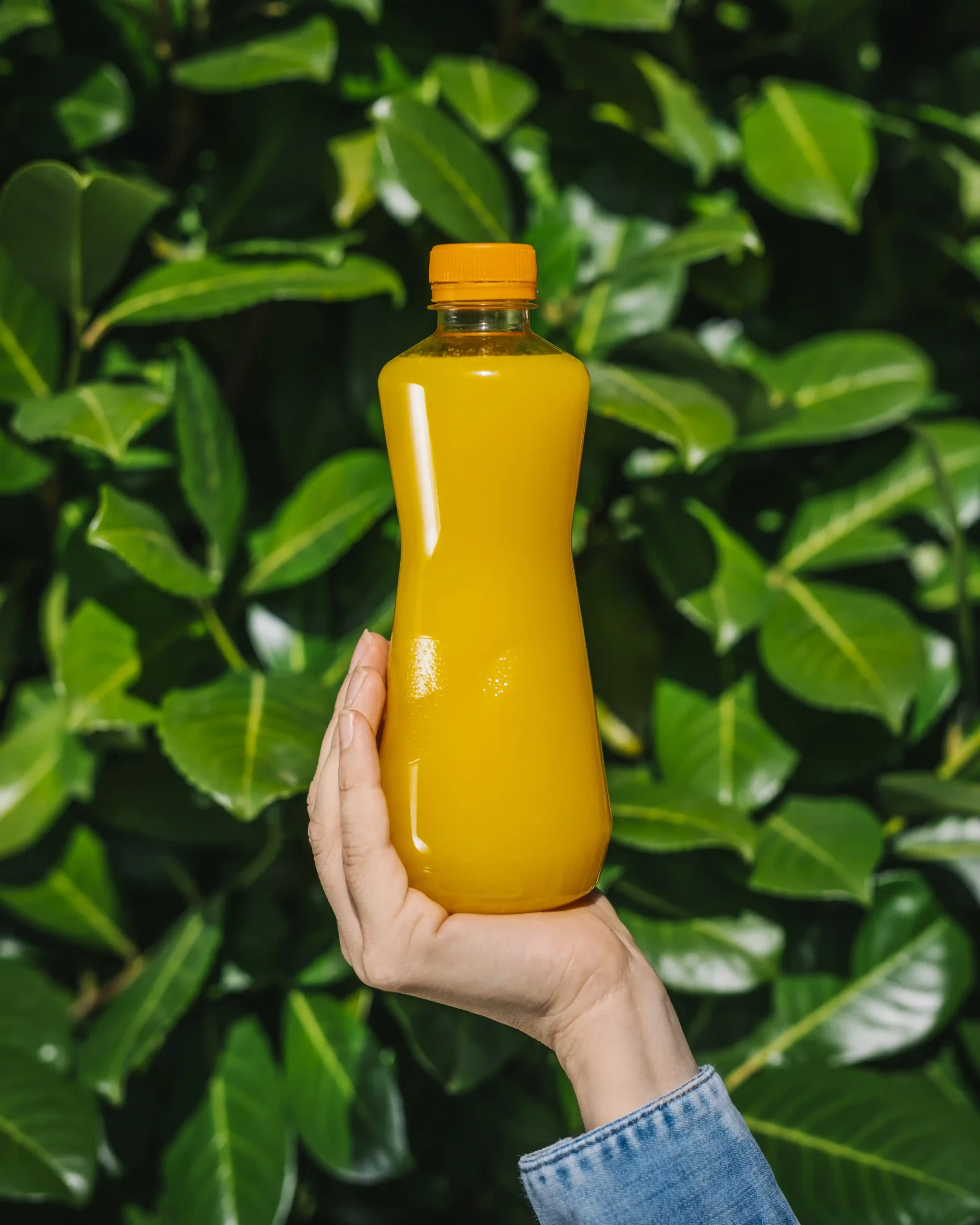 Gerngross 1 (c) Nadine Studeny