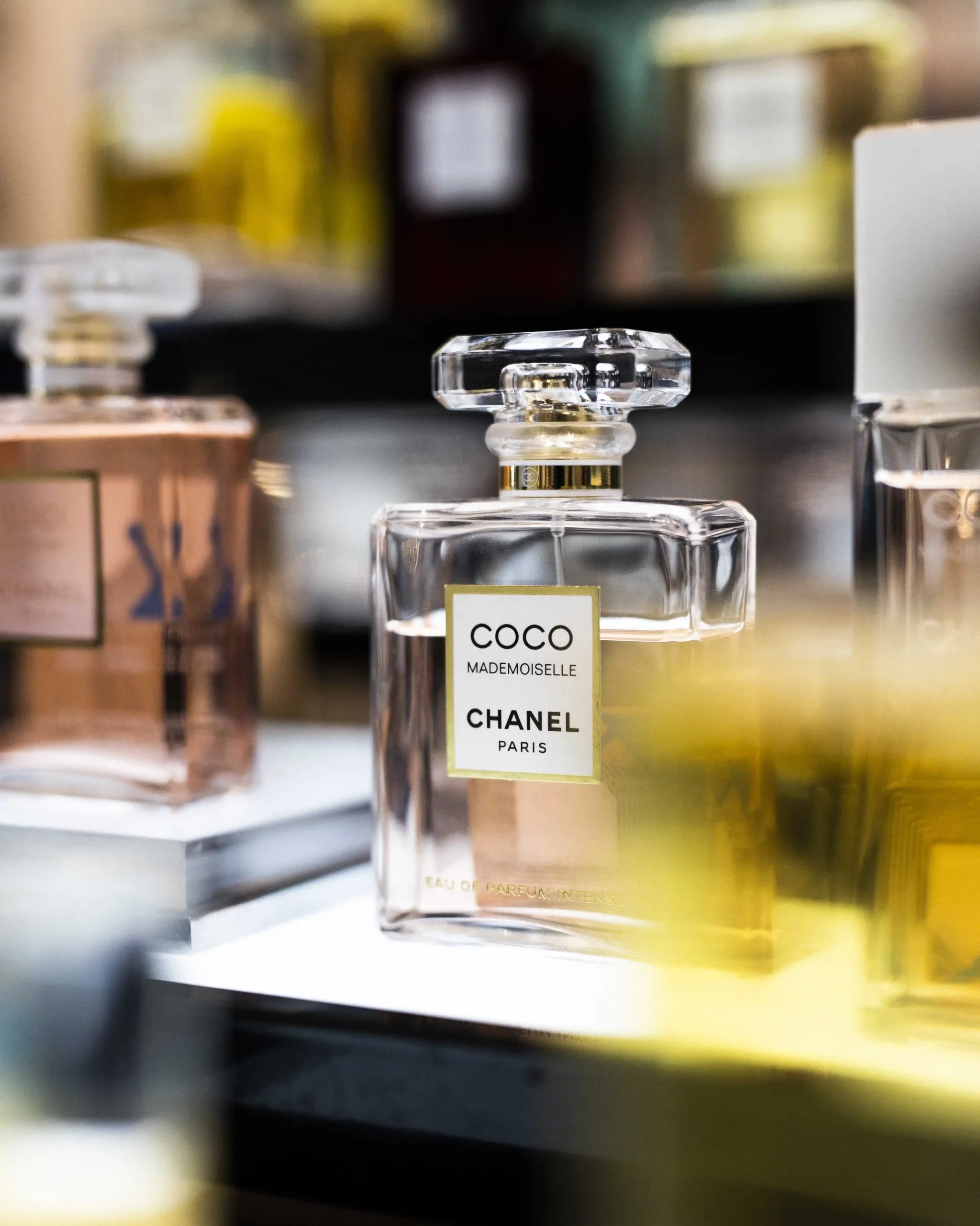 Gerngross (c) Nadine Studeny