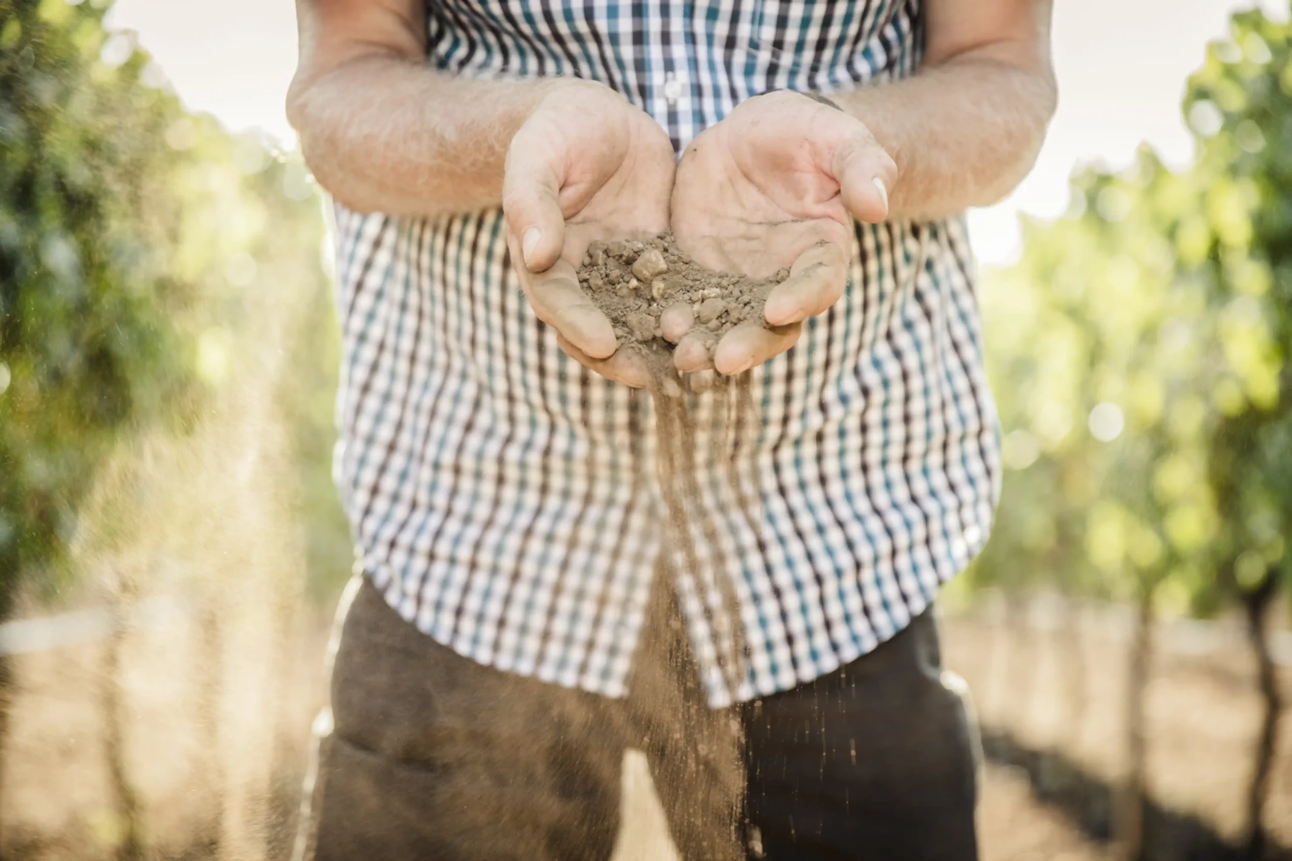 Nittnaus (c) Nadine Studeny