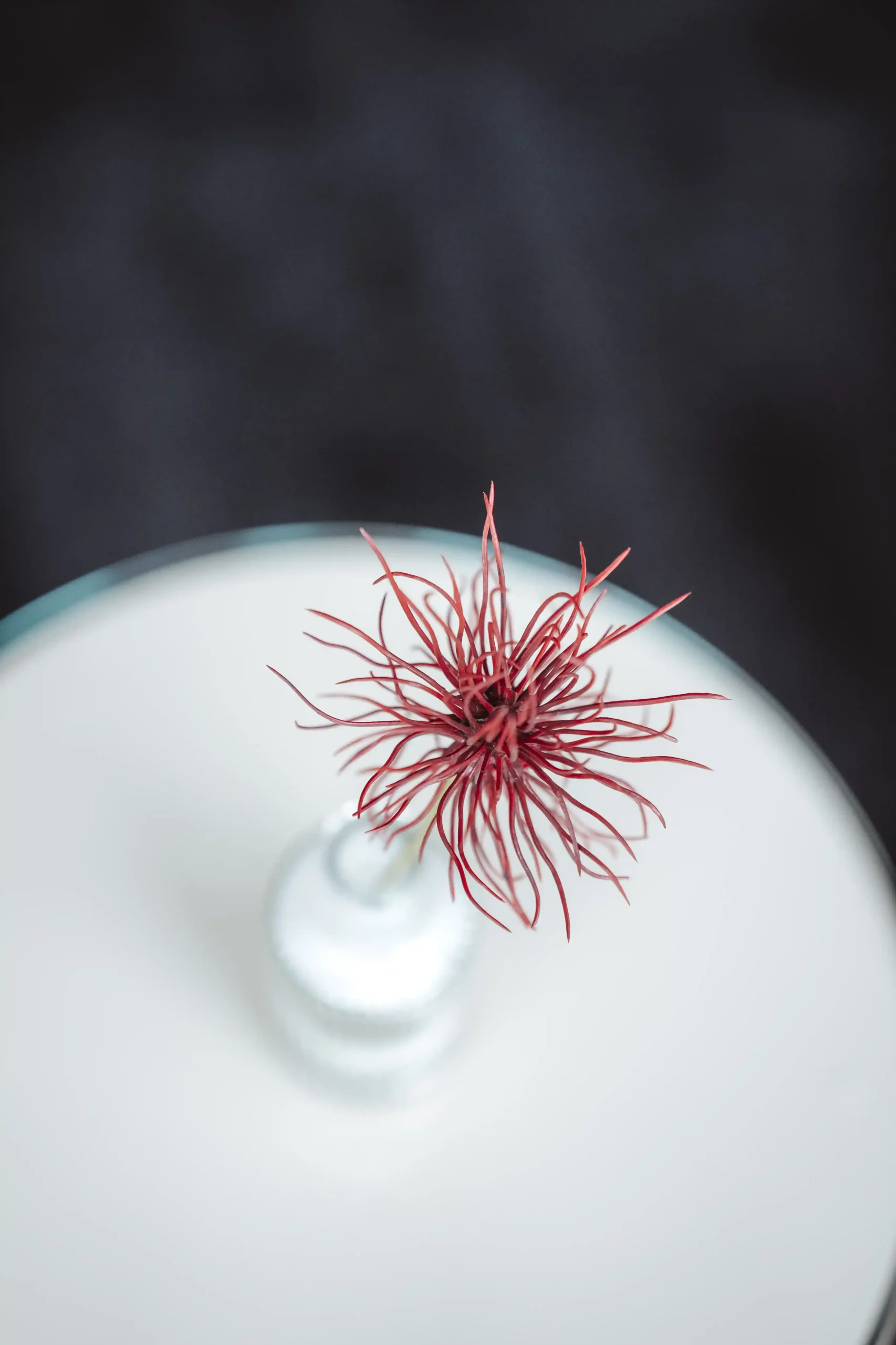 Thirthy Five (c) Nadine Studeny 5