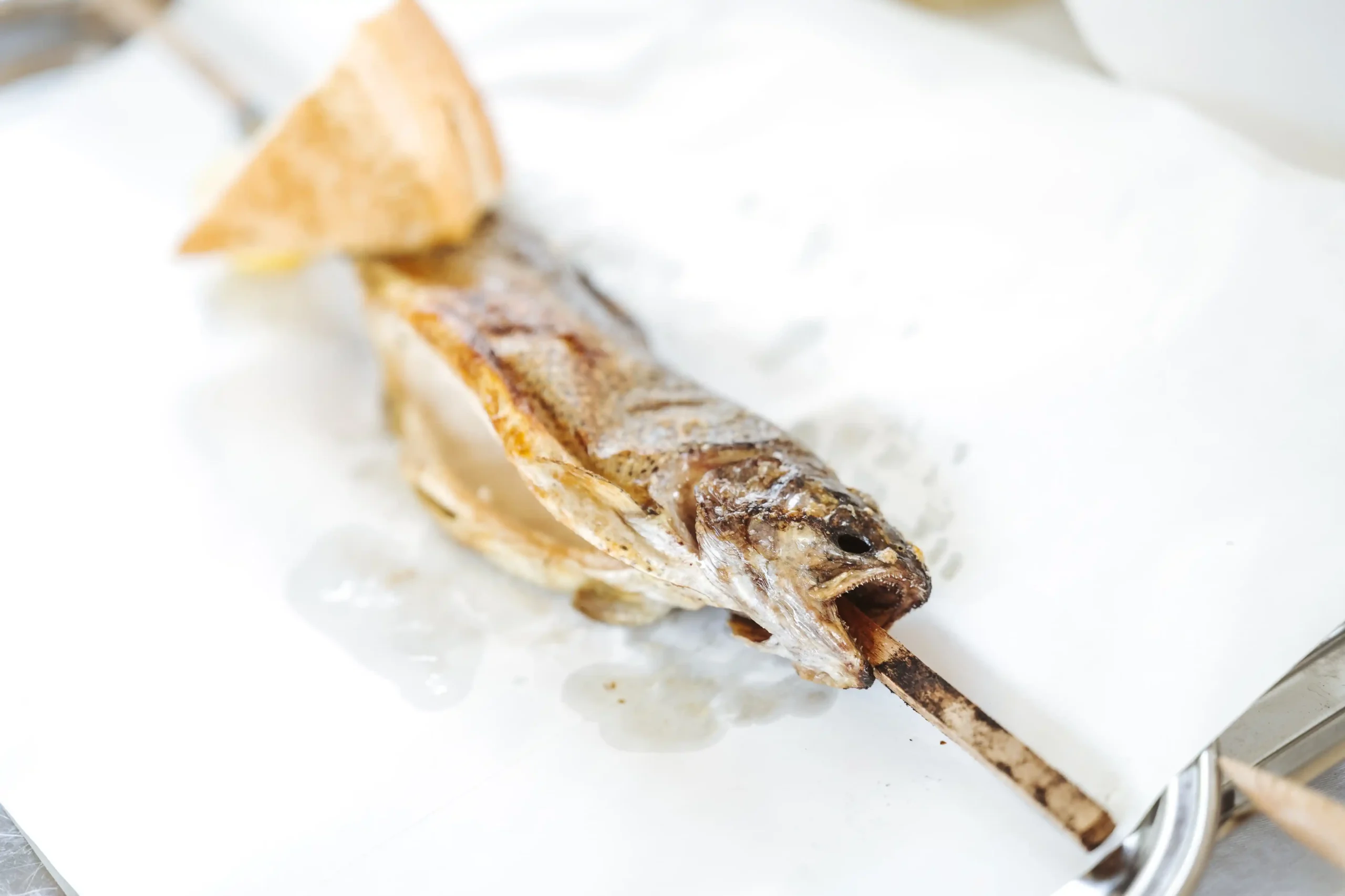 auersignal.com (c) Nadine Studeny