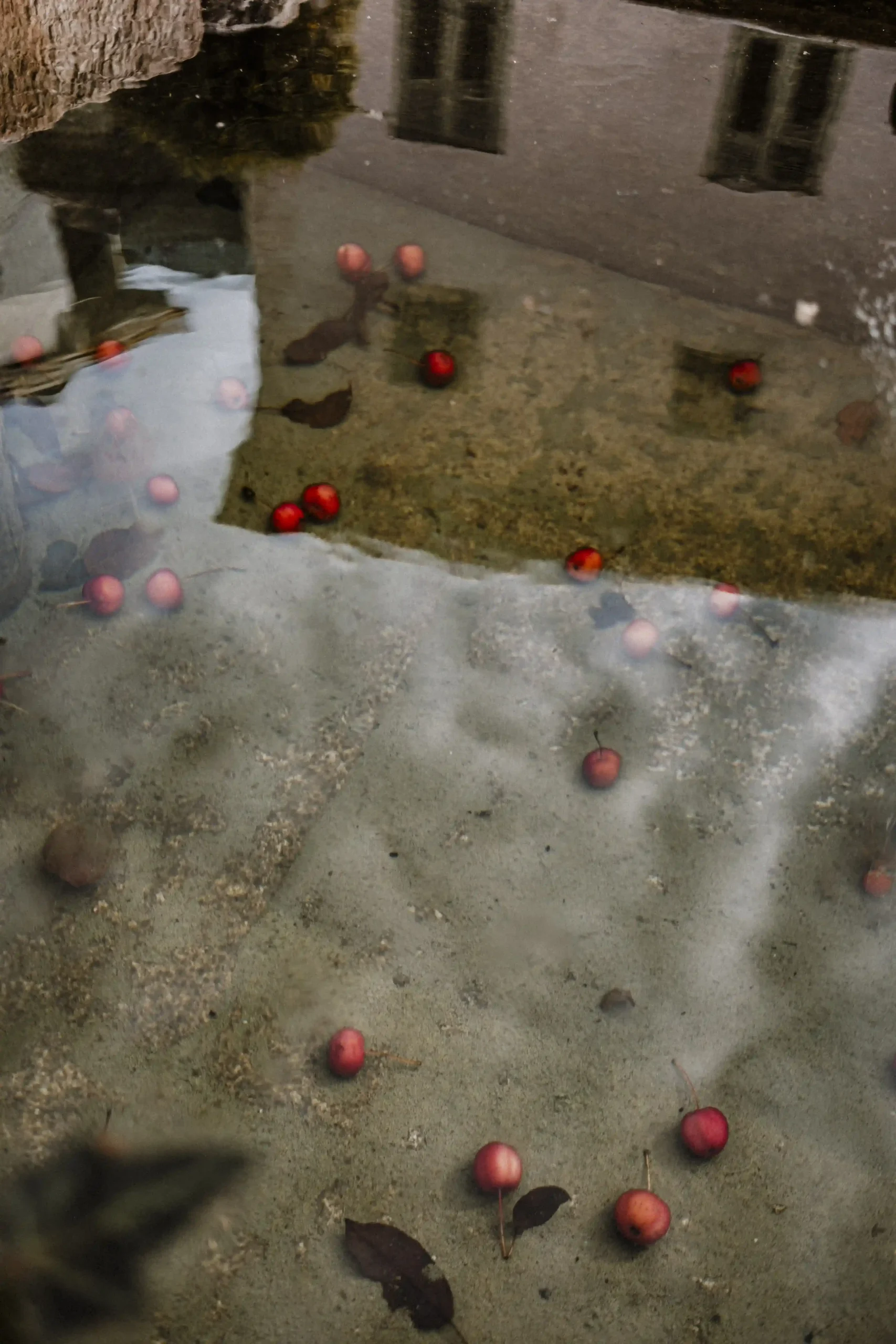 italy c Nadine Studeny scaled